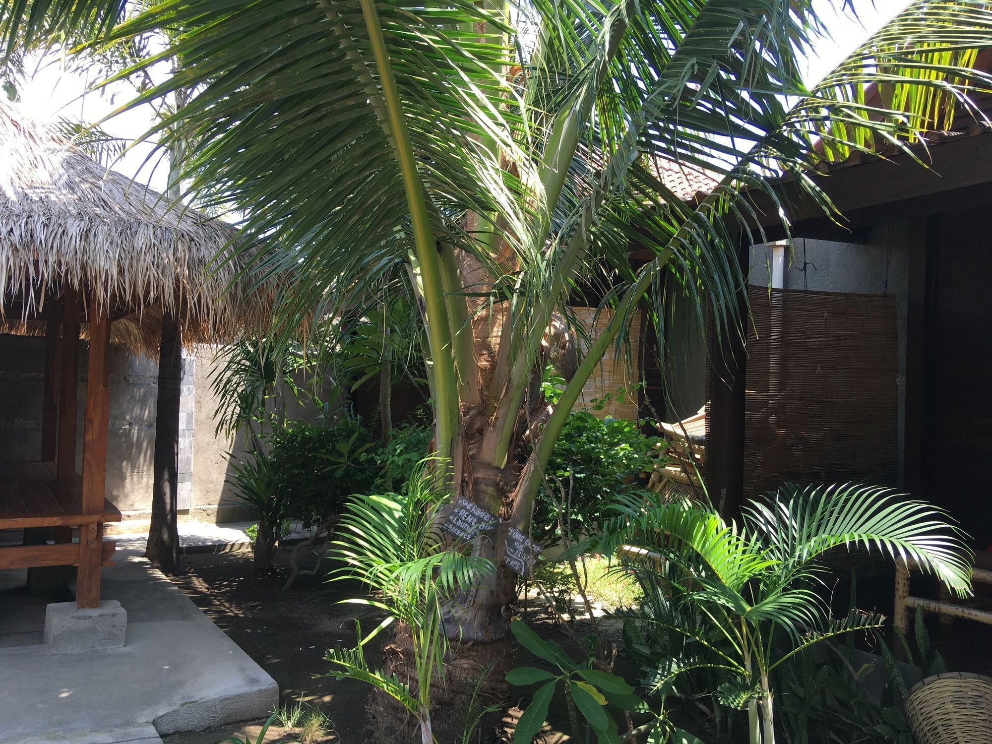 Alexyane Paradise Bungalow Gili Trawangan Buitenkant foto